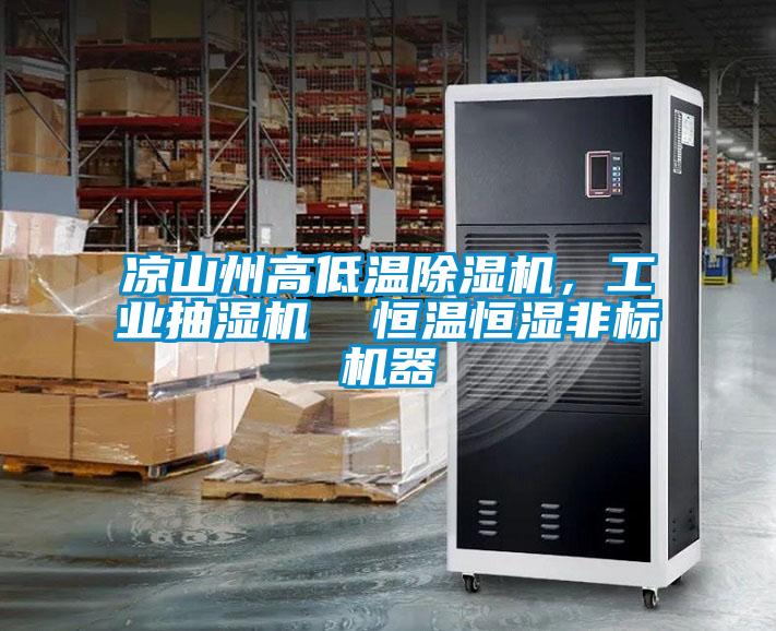 涼山州高低溫91看片网站视频機，工業抽濕機  恒溫恒濕非標機器