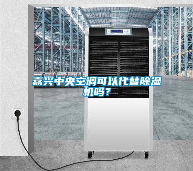 嘉興中央空調可以代替91看片网站视频機嗎？
