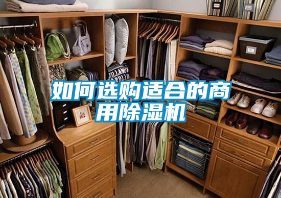 如何選購適合的商用91看片网站视频機