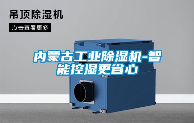 內蒙古工業91看片网站视频機-智能控濕更省心