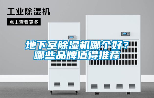 地下室91看片网站视频機哪個好？哪些品牌值得推薦