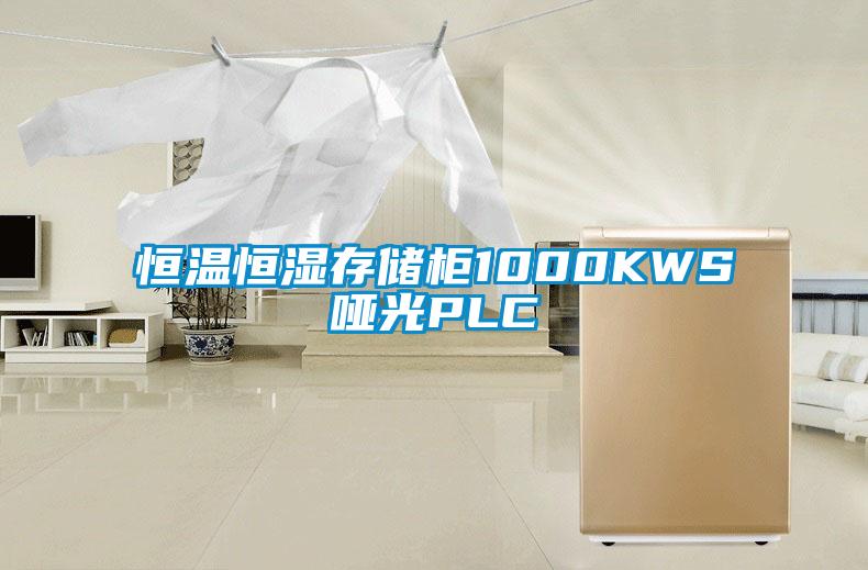 恒溫恒濕存儲櫃1000KWS啞光PLC