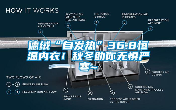 德絨“自發熱”36.8恒溫內衣！秋冬助你無懼嚴寒~