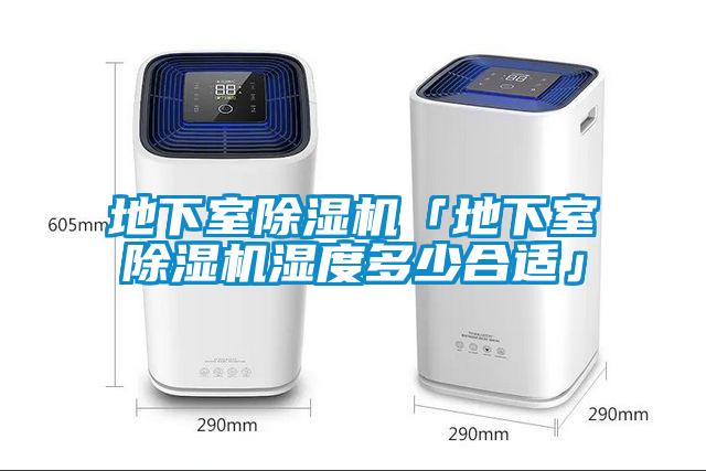 地下室91看片网站视频機「地下室91看片网站视频機濕度多少合適」