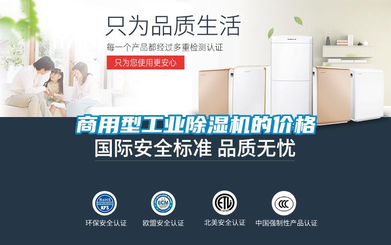 商用型工業91看片网站视频機的價格