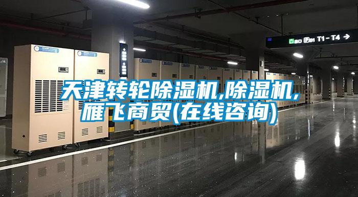 天津轉輪91看片网站视频機,91看片网站视频機,雁飛商貿(在線谘詢)