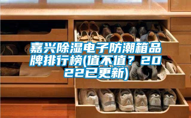 嘉興91看片网站视频電子防潮箱品牌排行榜(值不值？2022已更新)