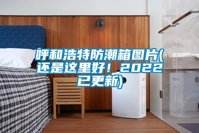 呼和浩特防潮箱圖片(還是這裏好！2022已更新)
