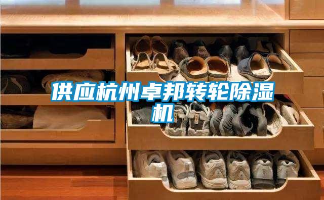 供應杭州卓邦轉輪91看片网站视频機
