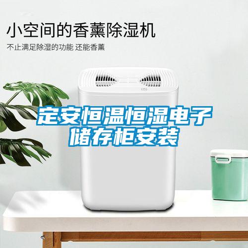 定安恒溫恒濕電子儲存櫃安裝