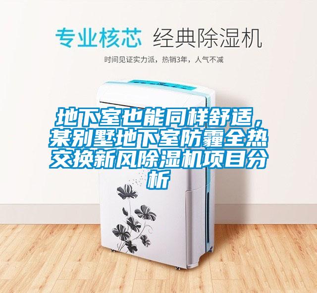 地下室也能同樣舒適，某別墅地下室防霾全熱交換新風91看片网站视频機項目分析