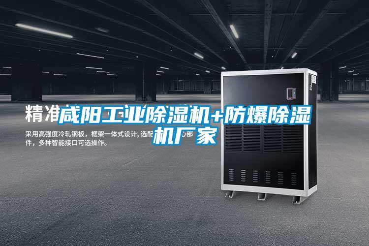 鹹陽工業91看片网站视频機+防爆91看片网站视频機廠家