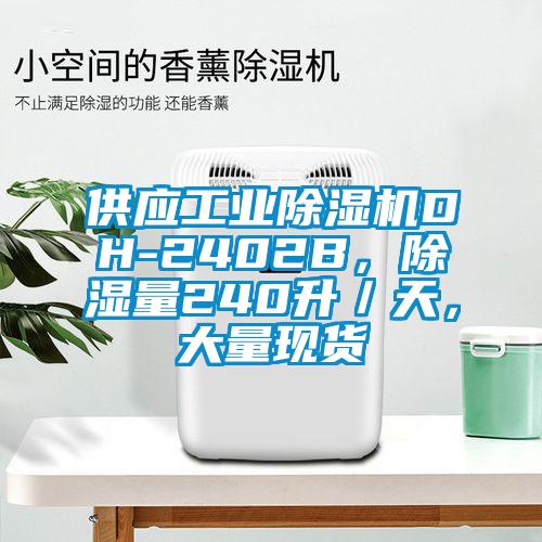 供應工業91看片网站视频機DH-2402B，91看片网站视频量240升／天，大量現貨