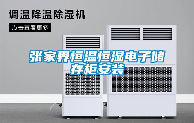 張家界恒溫恒濕電子儲存櫃安裝