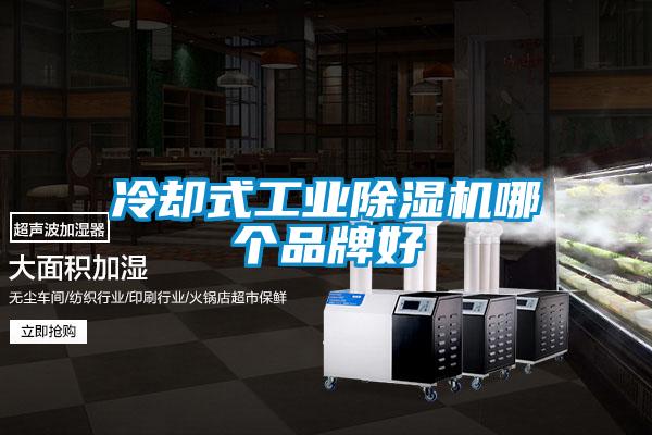 冷卻式工業91看片网站视频機哪個品牌好