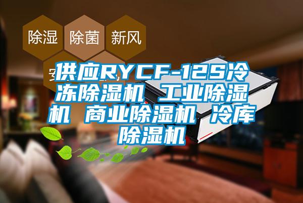 供應RYCF-12S冷凍91看片网站视频機 工業91看片网站视频機 商業91看片网站视频機 冷庫91看片网站视频機