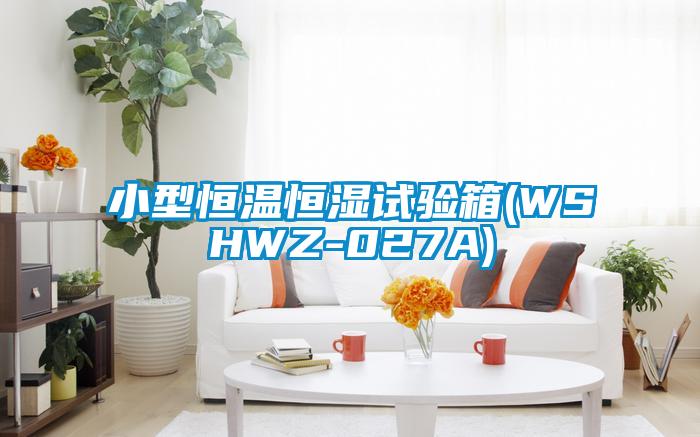 小型恒溫恒濕試驗箱(WSHWZ-027A)