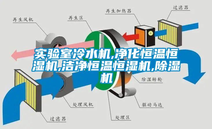 實驗室冷水機,淨化恒溫恒濕機,潔淨恒溫恒濕機,91看片网站视频機