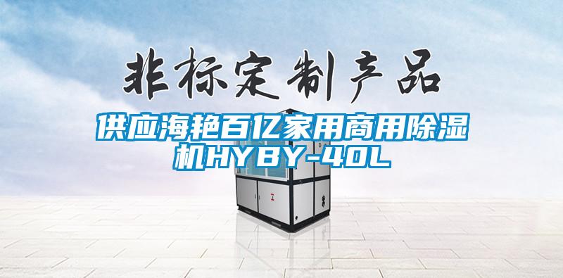 供應海豔百億家用商用91看片网站视频機HYBY-40L