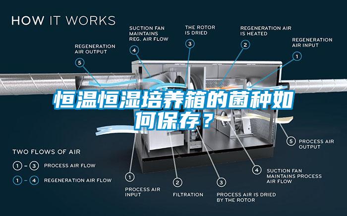 恒溫恒濕培養箱的菌種如何保存？