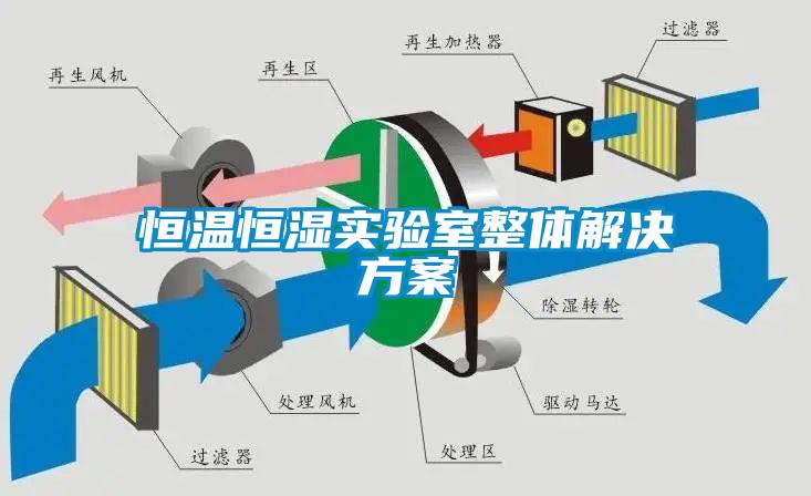 恒溫恒濕實驗室整體解決看片网站入口