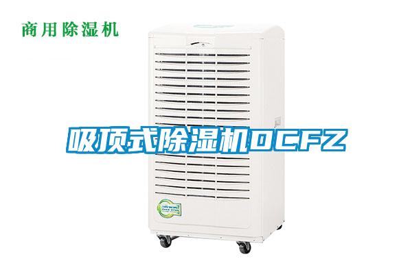 吸頂式91看片网站视频機DCFZ