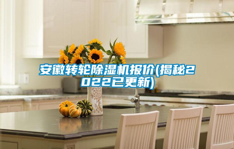 安徽轉輪91看片网站视频機報價(揭秘2022已更新)