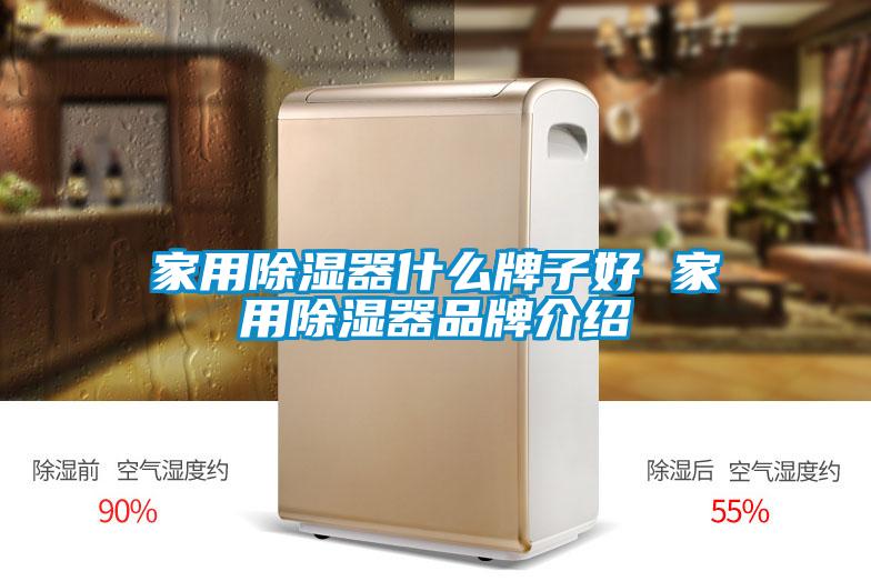 家用91看片网站视频器什麽牌子好 家用91看片网站视频器品牌介紹