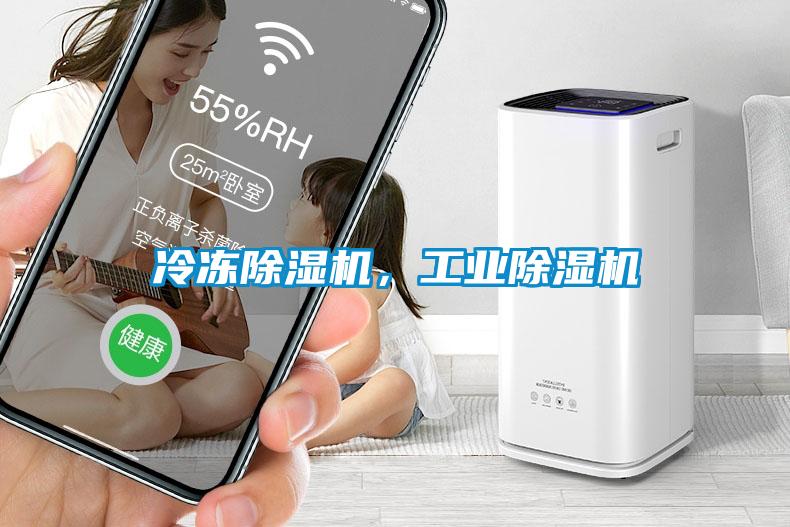 冷凍91看片网站视频機，工業91看片网站视频機