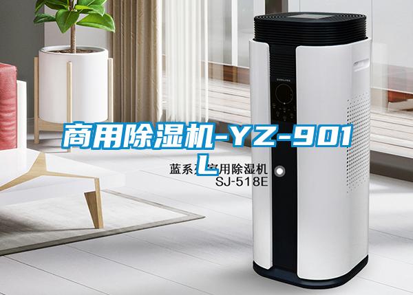 商用91看片网站视频機-YZ-901L