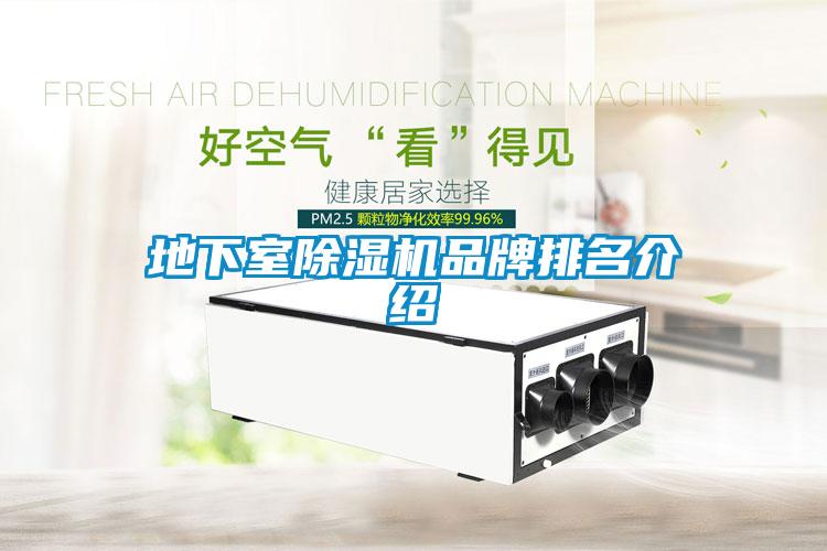 地下室91看片网站视频機品牌排名介紹
