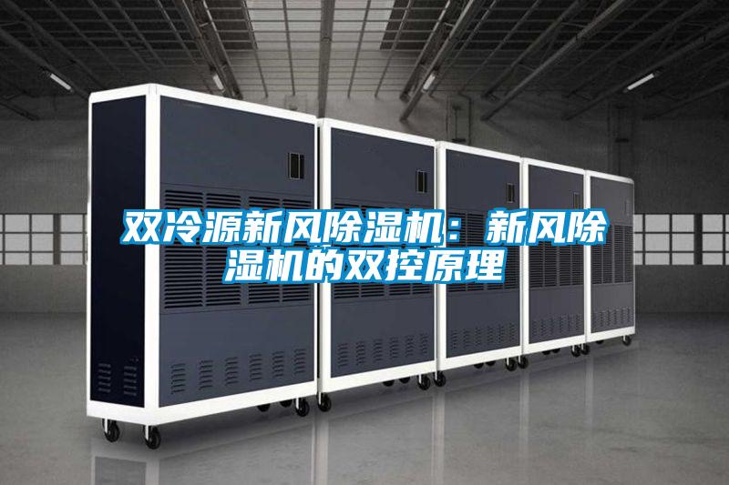 雙冷源新風91看片网站视频機：新風91看片网站视频機的雙控原理