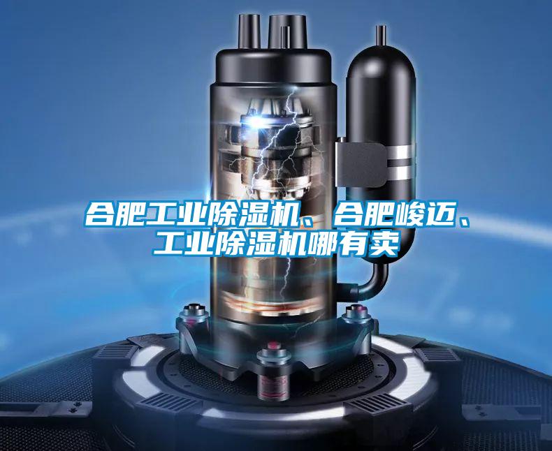 合肥工業91看片网站视频機、合肥峻邁、工業91看片网站视频機哪有賣