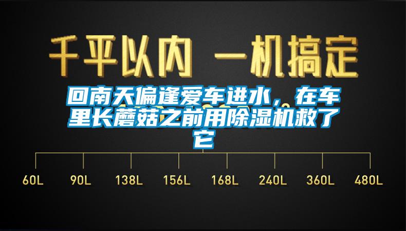 回南天偏逢愛車進水，在車裏長蘑菇之前用91看片网站视频機救了它
