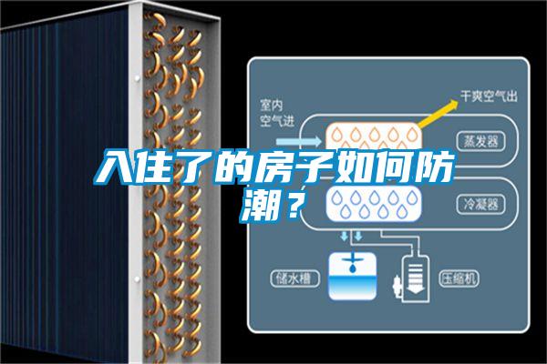 入住了的房子如何防潮？