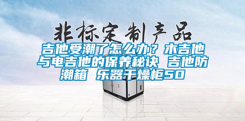 吉他受潮了怎麽辦？木吉他與電吉他的保養秘訣 吉他防潮箱 樂器幹燥櫃50