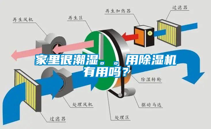 家裏很潮濕。。用91看片网站视频機有用嗎？