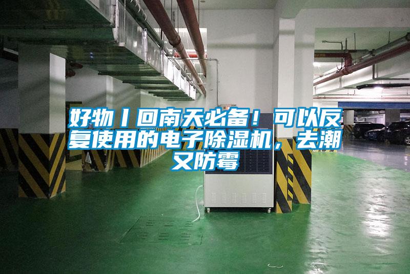 好物丨回南天必備！可以反複使用的電子91看片网站视频機，去潮又防黴