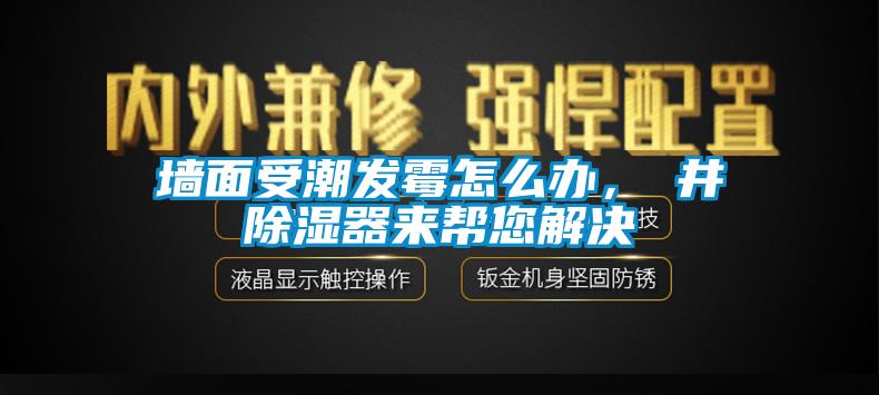 牆麵受潮發黴怎麽辦，東井91看片网站视频器來幫您解決