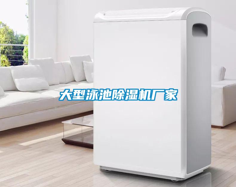 大型泳池91看片网站视频機廠家