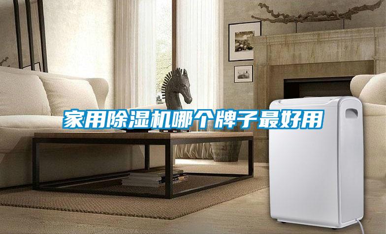 家用91看片网站视频機哪個牌子最好用