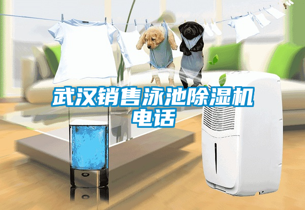 武漢銷售泳池91看片网站视频機電話