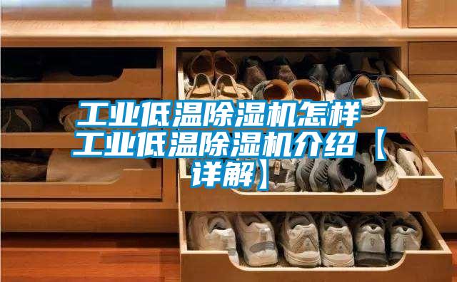 工業低溫91看片网站视频機怎樣 工業低溫91看片网站视频機介紹【詳解】