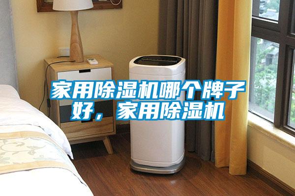 家用91看片网站视频機哪個牌子好，家用91看片网站视频機