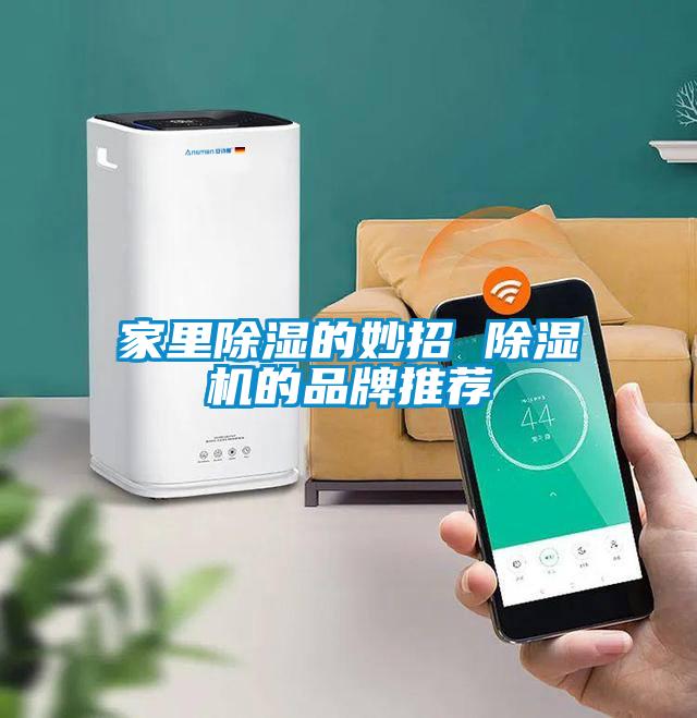 家裏91看片网站视频的妙招 91看片网站视频機的品牌推薦