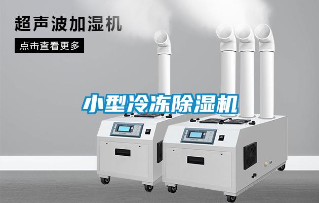 小型冷凍91看片网站视频機