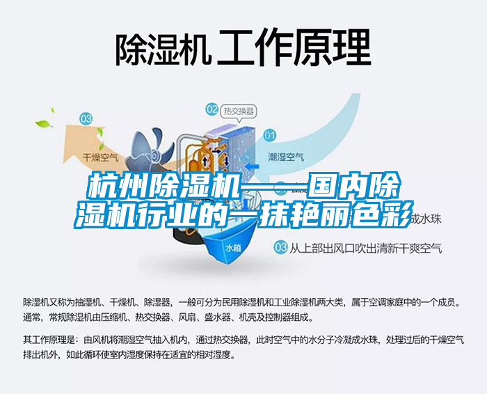 杭州91看片网站视频機——國內91看片网站视频機行業的一抹豔麗色彩