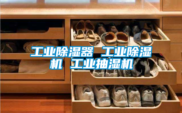 工業91看片网站视频器 工業91看片网站视频機 工業抽濕機