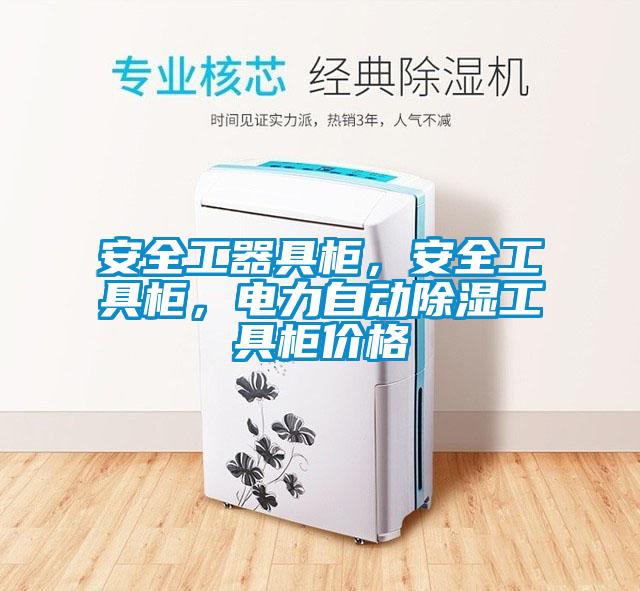 安全工器具櫃，安全工具櫃，電力自動91看片网站视频工具櫃價格