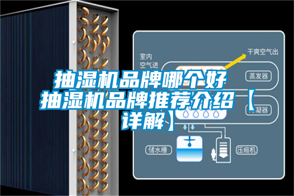 抽濕機品牌哪個好 抽濕機品牌推薦介紹【詳解】